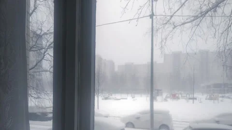 Calm Snowy Yard Stock Footage 237513174