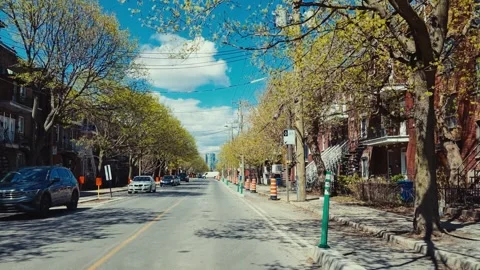 Calm Spring Drive on a Quiet Street in Montreal with Fresh Green Leaves Stock Footage 334733110