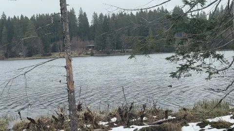 Calm spring lake with forest and cloudy sky in peaceful nature Stock Footage 334467929