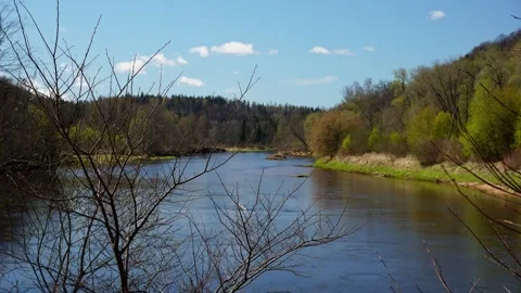 Calm Spring River Through Forest Landscape Stock Footage 333922656