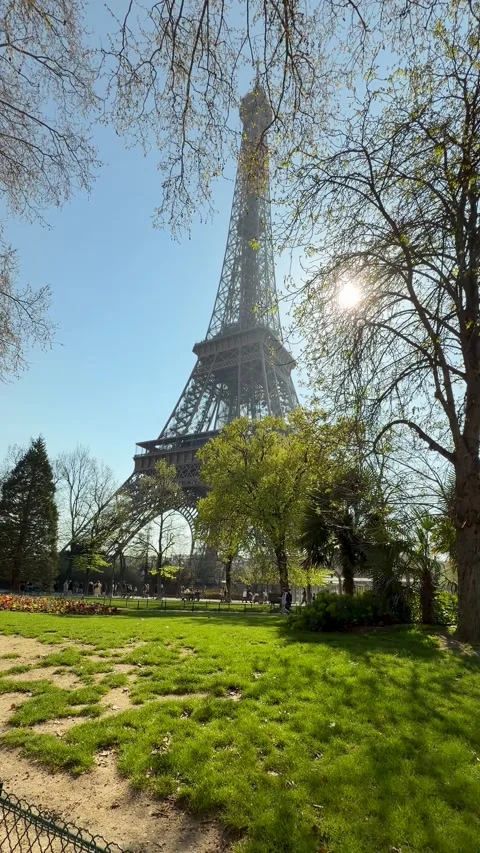 Calm springtime park scene bathed in warm morning sunlight Stock Footage 346672083