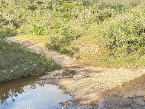 Calm stream crossing a path Stock Photos