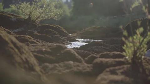 Calm stream flowing 스톡 동영상 76554513