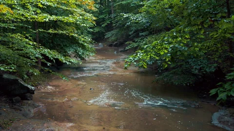 Calm Stream flowing through green trees in Ohio Stock Footage 54565479
