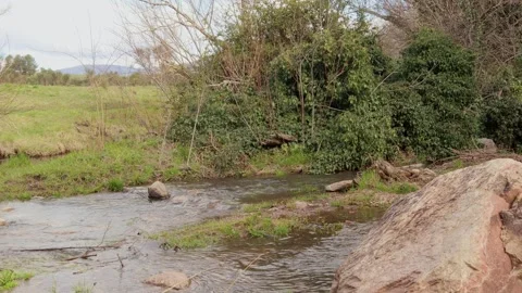 Calm stream flowing through lush green countryside with rocks and foliage Stock Footage 286764392