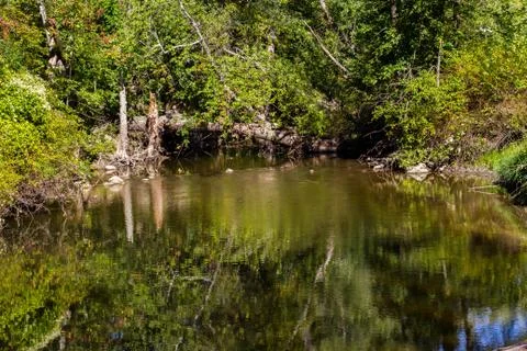 A calm stream flows in the middle of the forest Stock Photos