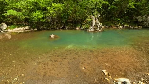 Calm stream flows through emerald forested banks. Gradac River, Serbia Vídeos de archivo 335073691