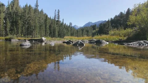 Calm stream flows towards camera Stock Footage 146028513