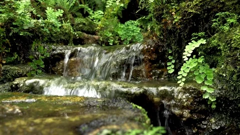 Calm Stream Vídeo Stock 75627392