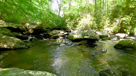 Calm Stream Stock Footage 137867192