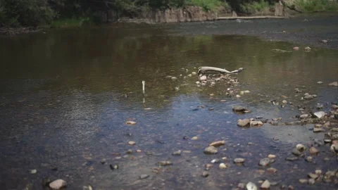 Calm Stream Video stock 141089925