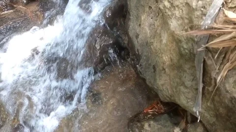 A calm stream Stock Footage 334590287