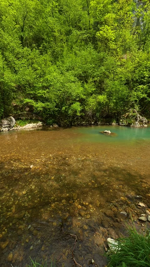 Calm stream glides over smooth stones. Vertical POV, Balkan, Eastern Europe Видео 334680503