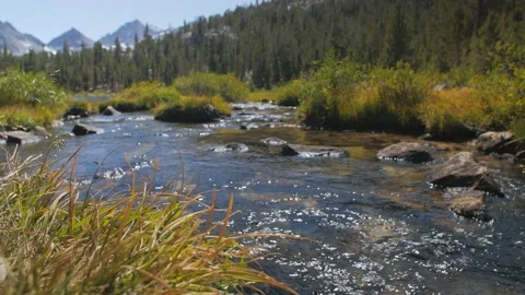 Calm stream makes his way to the mountains in the background. Stock Footage 146028178