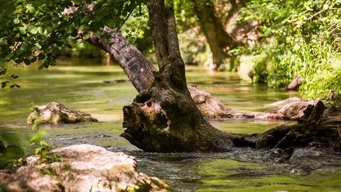 A calm stream of a mountain river and a play of light Stock Footage 80997928