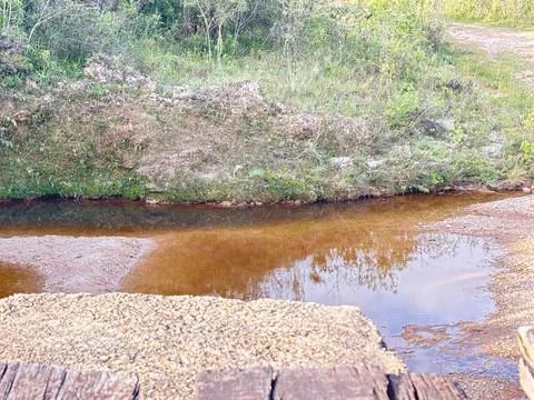 Calm stream in a natural environment Stock Photos