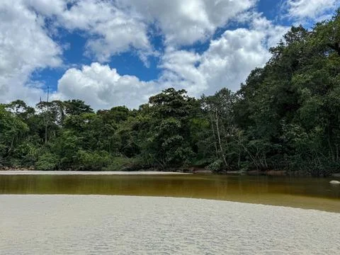 Calm stream under a partly cloudy sky. Stock Photos