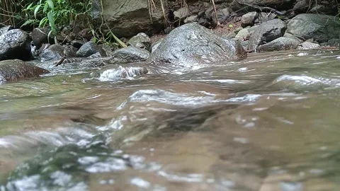Calm Stream Water Flow Over Pebbles Close Up Nature Scene Stock Footage 330582906