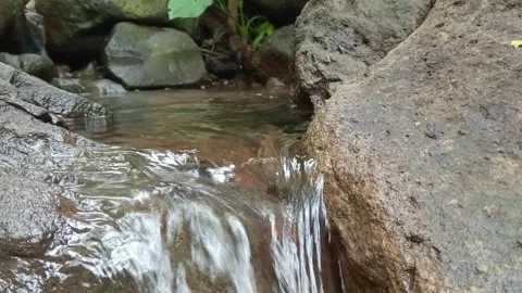Calm Stream Water Flow Over Stones Close Up Natural Scene Stock Footage 330589330