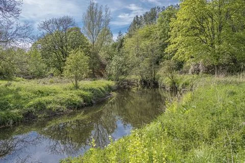 Calm stream winds through lush green meadow Stock-Fotos