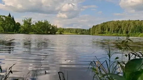 A calm summer lake with reflections of the forest and blue sky with a slight Stock Footage 311821029