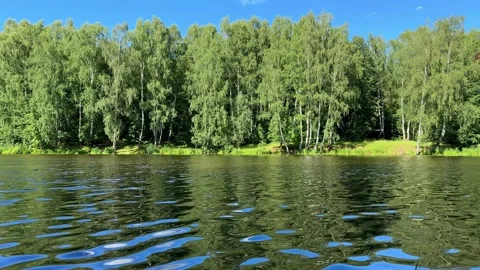 Calm summer lake surrounded by lush green trees, reflecting blue sky. Peaceful Stock Footage 307552919