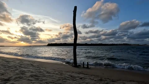 Calm sunset on the edge of the lake. Stock Footage 227137546