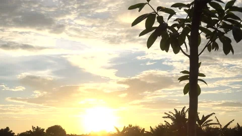 Calm Sunset Stock Footage 146025778