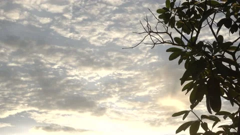 Calm Sunset Stock Footage 146026032