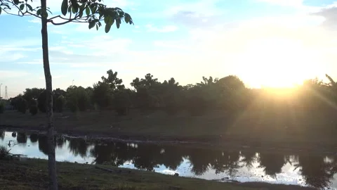 Calm Sunset Stock Footage 146026100