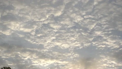 Calm Sunset Stock Footage 146026695