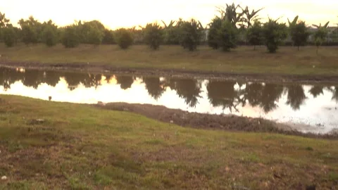 Calm Sunset Stock Footage 146027064