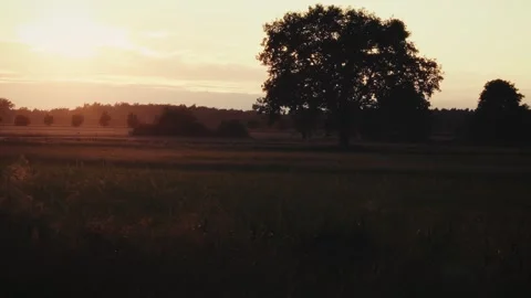 Calm sunset Stock Footage 314403718