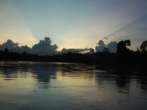 Calm Sunset on River in Amazon Jungle Rainforest Stock Footage 112943346