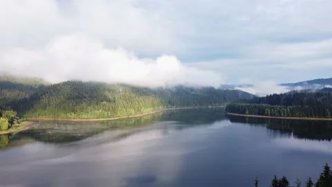 Calm surface of the lake reflects the surrounding scenery made up of trees  Stock Footage 203734440