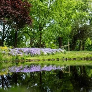 Calm surface of a pond in a park reflecting the green of trees and flowers Foto stock
