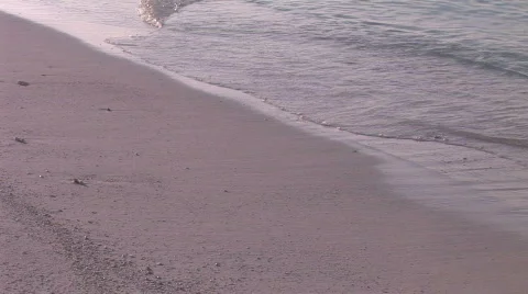Calm swapping ocean on beach in early morning sunlight  Stock Footage 478963