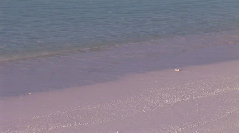Calm swapping ocean on beach in early morning sunlight  Stock Footage 480083
