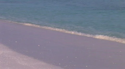 Calm swapping ocean on beach in early morning sunlight  Stock Footage 480174