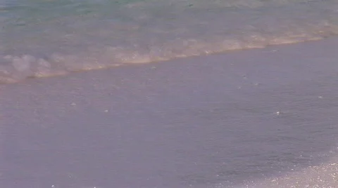 Calm swapping ocean on beach in early morning sunlight  Stock Footage 481048