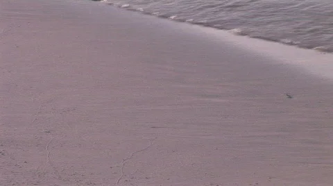Calm swapping ocean on beach in early morning sunlight  Stock Footage 481705