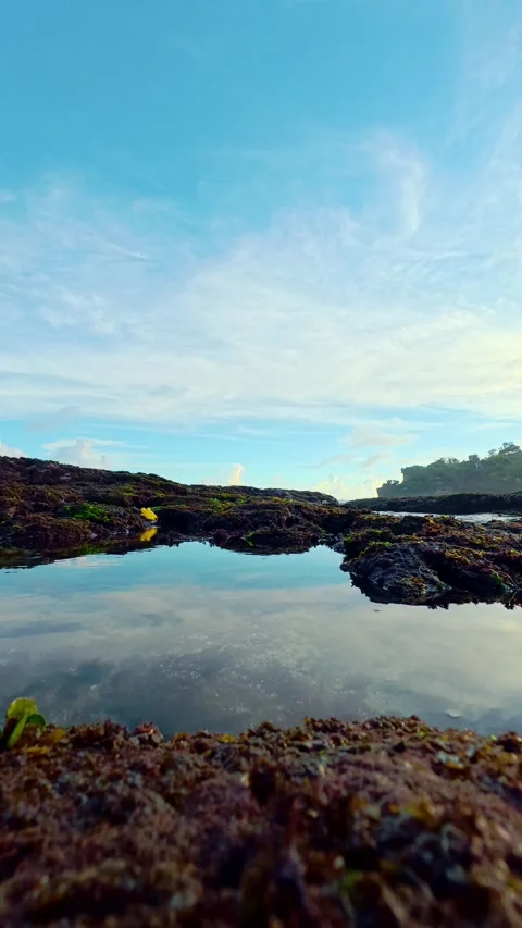 Calm tidal pool reflecting bright tropical sky Stock Footage 335442525