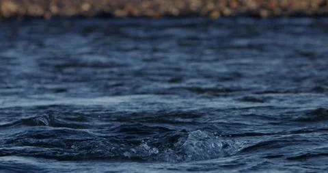 Calm tranquil slow motion river in the mountains with slow flowing water Stock Footage 172521140