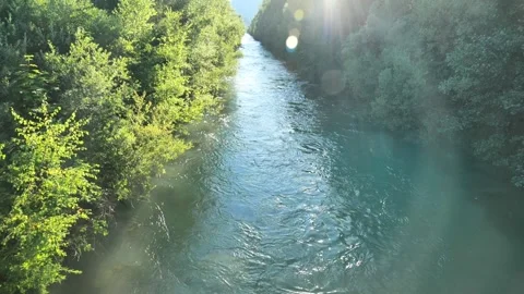 Calm transparent river current and moths in the sun glare Stock Footage 259582127