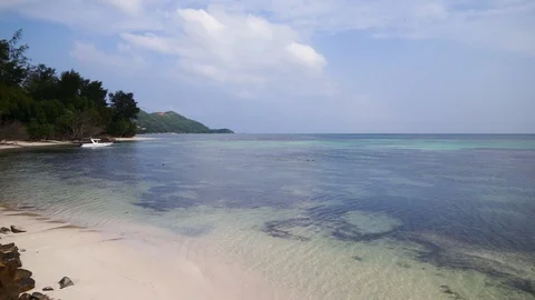 A calm tropical beach Stock Footage 101660001