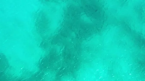 Calm Tropical Ocean Waves Stock Footage 136671891