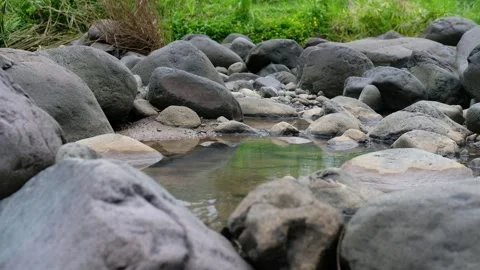 Calm Tropical River Stream in Southeast Asia – Daylight Nature Stock Footage 325516615