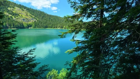 Calm turquoise lake framed by dense evergreen trees. Black Lake, Montenegro 库存影片 342972463