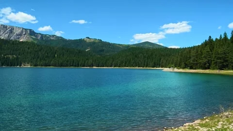 Calm turquoise lake reflects distant pine forests. Black Lake, Montenegro Video stock 342969988