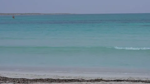 Calm Turquoise Waves Lapping Shoreline Stock Footage 305957823